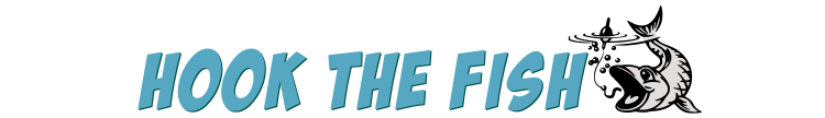Hook the Fish
