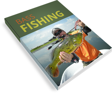 Free Guide!
