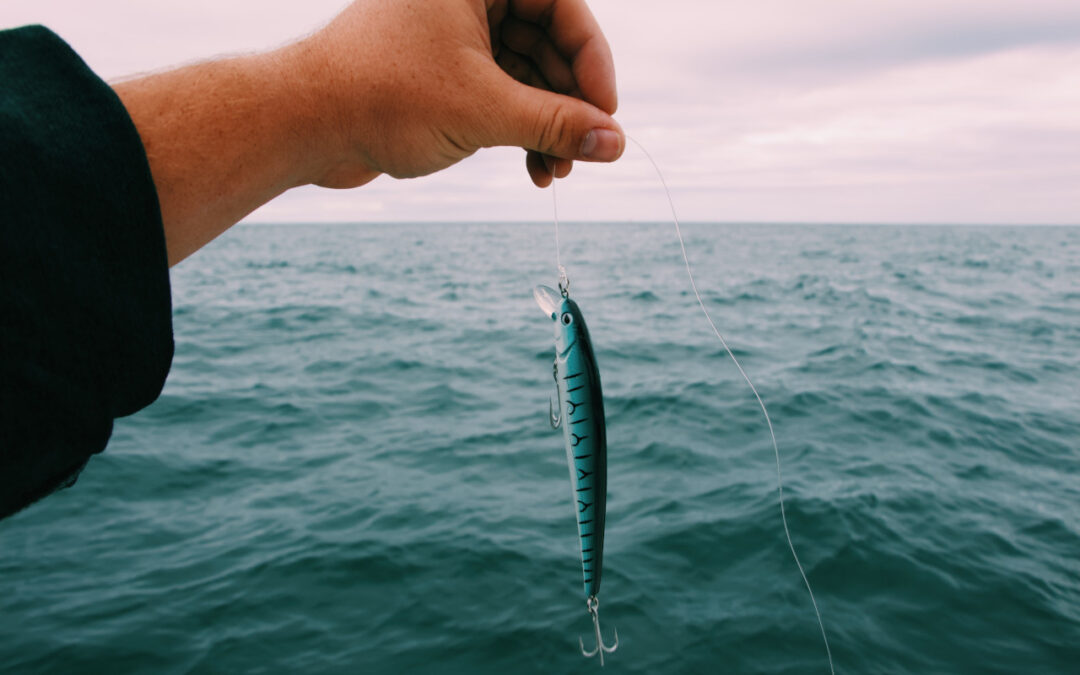 Fishing for Beginners