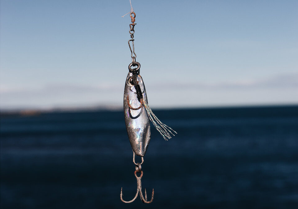 Fishing with Live Bait